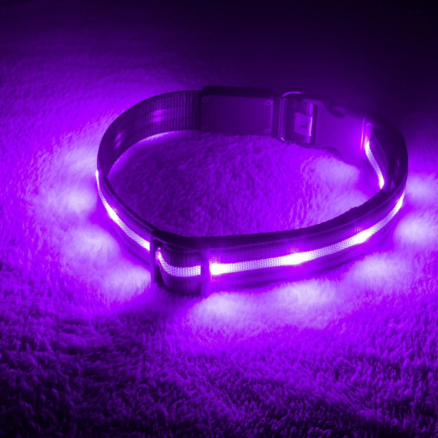 Brightest Light up Dog Collars - the Original LED Dog Collar with 1,000 Feet of Visibility - USB Rechargeable Waterproof Dog Collar Light - Dog Lights for Night Walking - USA Brand